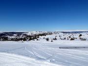 Vue depuis le Fjellheisen vers le Kvitfjellet (1044 m)