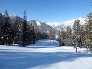 Descente Schober's Dream dans la Sun Bowl