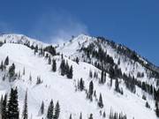 Pistes dans la Peruvian Gulch