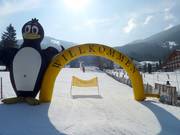 Bon plan pour les enfants :  - Club enfants BOBO de Bach géré par l'école de ski Krainer