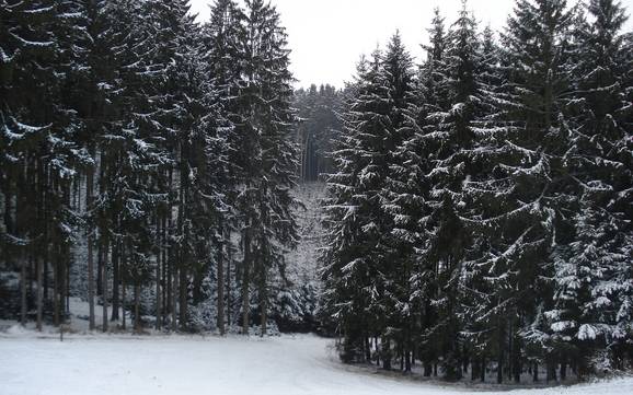 Diversité des pistes Freising – Diversité des pistes Hanslmühle – Mauern