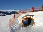 Bon plan pour les enfants : 