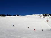 Large piste au Hasenauer Köpfl