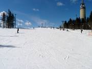 Piste pour débutants Nybegynnerbakken