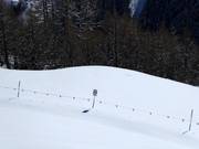 Fermeture des zones de protection de la faune