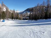 Piste n° 65 Slittone