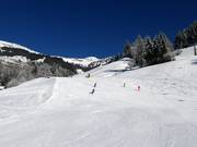 Descente jusqu'à la vallée vers Dorfgastein