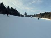 Au milieu de la large piste