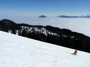 Vue sur le Grünten au-dessus de la mer de brouillard