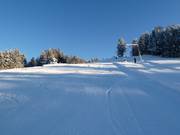 La partie supérieure de la piste