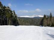 Large piste dans la partie supérieure