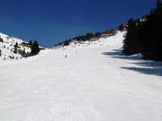 Large piste au Walmendingerhorn