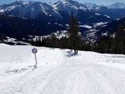 Piste de luge à Bellwald