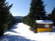Très plate : piste du Bremberg en direction du Kahler Asten