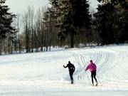 Piste de ski de fond entre Altastenberg et le Bremberg