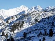 Rückbringerlift - Téléski à pioches
