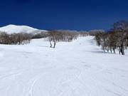 Piste intermédiaire S "JI" (Annupuri)