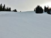 Piste intermédiaire du téléski Muldenlift Est
