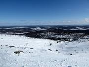 Vue sur le domaine freeride à Levi