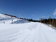 Piste pour débutants Bärenhang