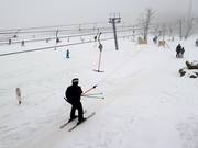 Les téléskis dans la vallée desservent des pistes faciles.