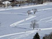 Pistes de ski de fond à Lenggries