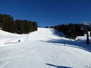 Descente Joch à Brixen im Thale