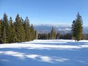 Piste Fiorentini n° 30