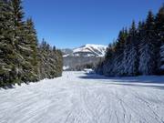 Descente Scheiblberg