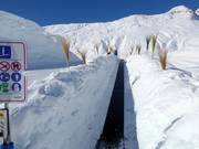 Hexenland 4 - Tapis roulant/Moving Carpet