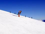 Canon à neige performant