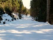 Descente vers Hungerburg