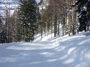 Piste facile Salzberg