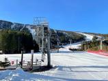 Ulven