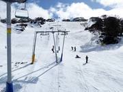 Blaxland T-Bar - Téléski à pioches