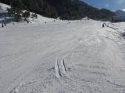 Excellente préparation des pistes à Malbun