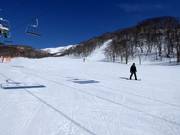 Pente d'entraînement au télésiège Dream Quad #1 à Annupuri