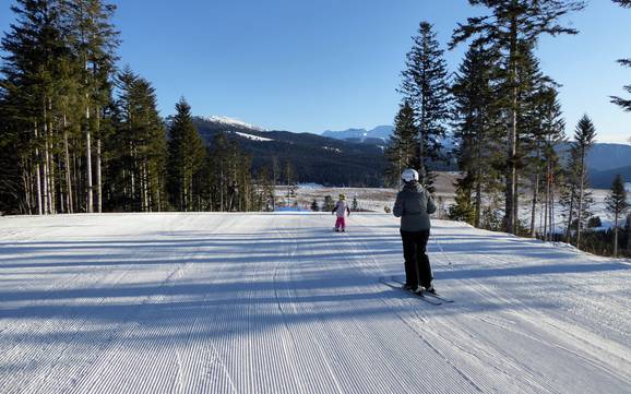 Domaines skiables pour les débutants dans la Valsugana – Débutants Lavarone