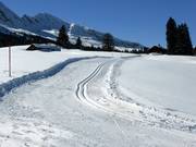 Piste de ski de fond d'altitude Sellamatt/Sagenweg (station intermédiaire Alt St. Johann)
