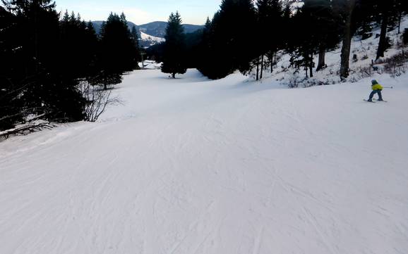 Stations de ski familiales Wiesental – Familles et enfants Belchen