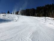 Piste difficile Heimalm-Rauris