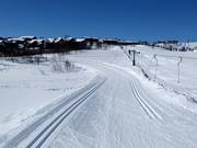 Pistes de ski de fond à Geilo