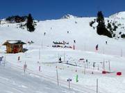 Bon plan pour les enfants : 