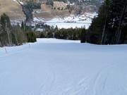 Piste difficile aux normes FIS - Kohlerhang