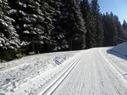 Piste de ski de fond à Villars