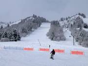 Piste à la télécabine Needles