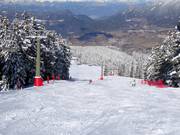 Piste intermédiaire Costabella