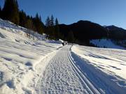Pistes de ski de fond Valepper Almen au Spitzingsee
