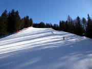 Piste Waldpiste Langental