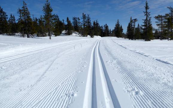 Ski nordique Hedmark – Ski nordique Trysil